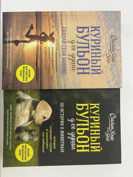 Две книги Куриный бульон