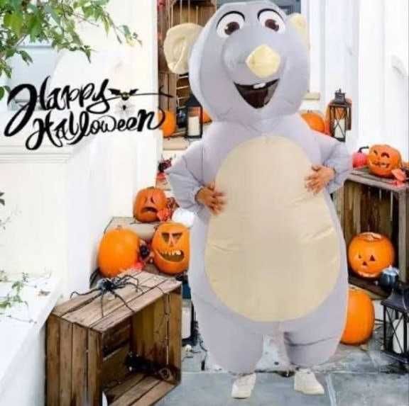 Închiriere costume gonflabile, saluturi interesante