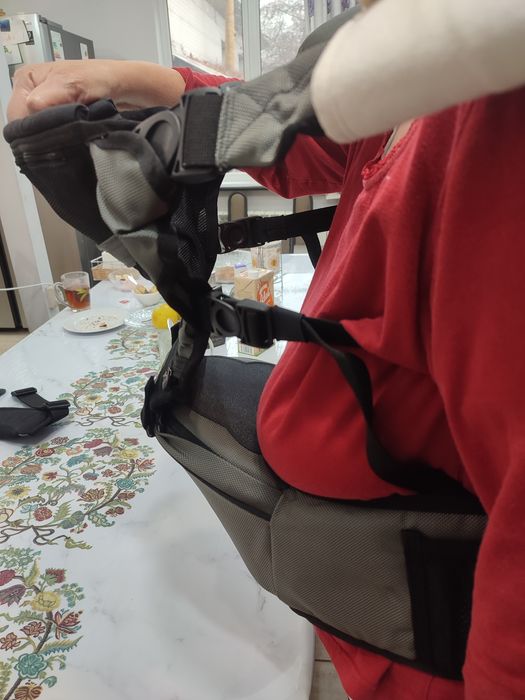 Хипсид Pognae корейский