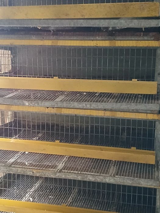 Продам клетки для перепелов