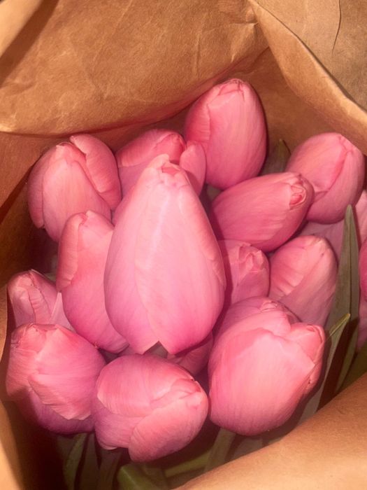 Супер цены! Шымкент