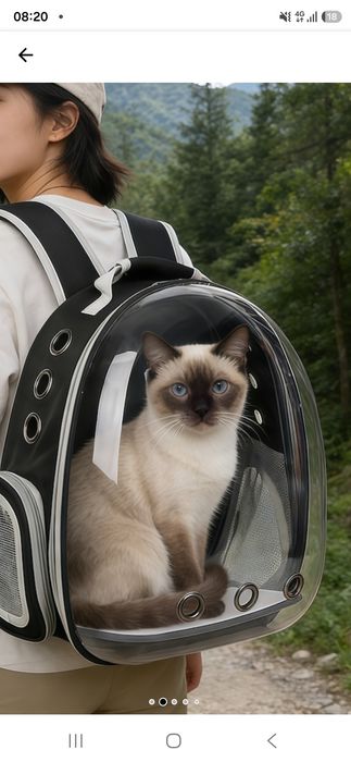 Ghiozdan transport animale