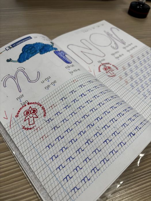 Ajutor teme și homeschooling clasele 0-4