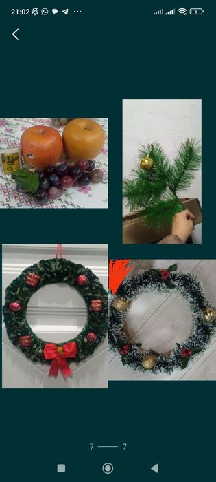 Шишки ёлочные,Отростки декабриста