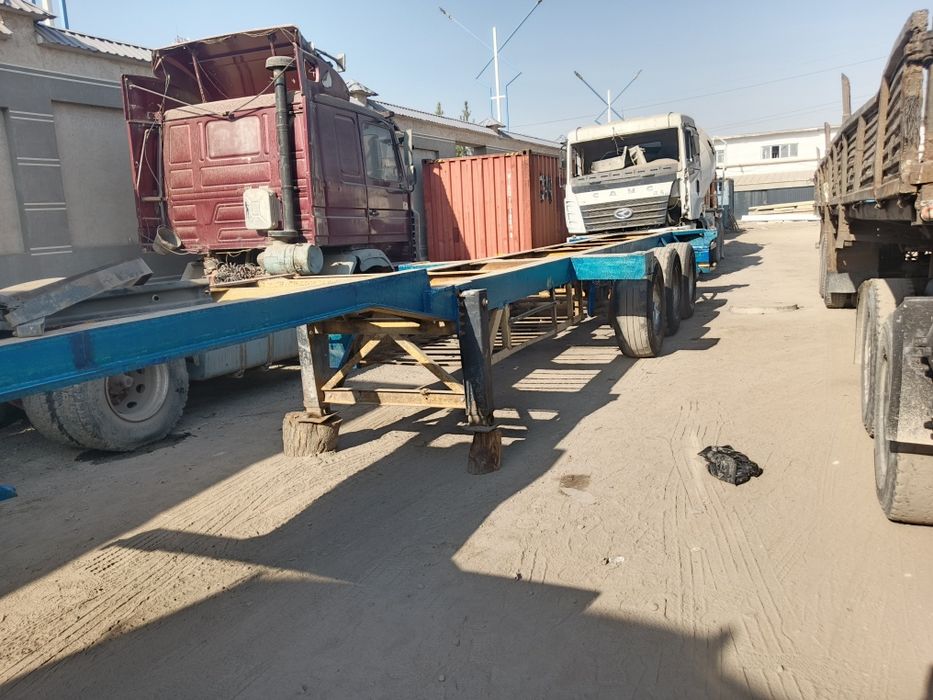 Волв тигач присеп кантеравоз ерон заватиской висата бермиди