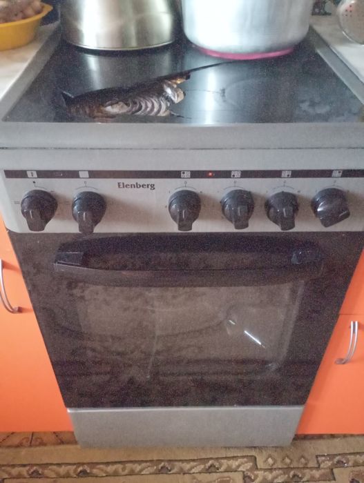Электроплита эленберг