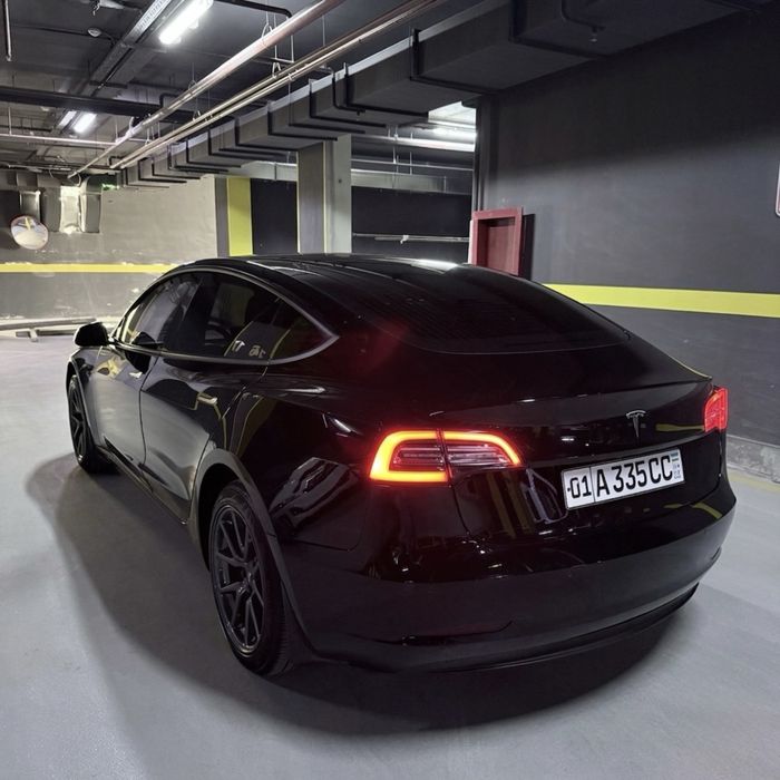 Tesla Model 3 Standart Plus 2020 USA