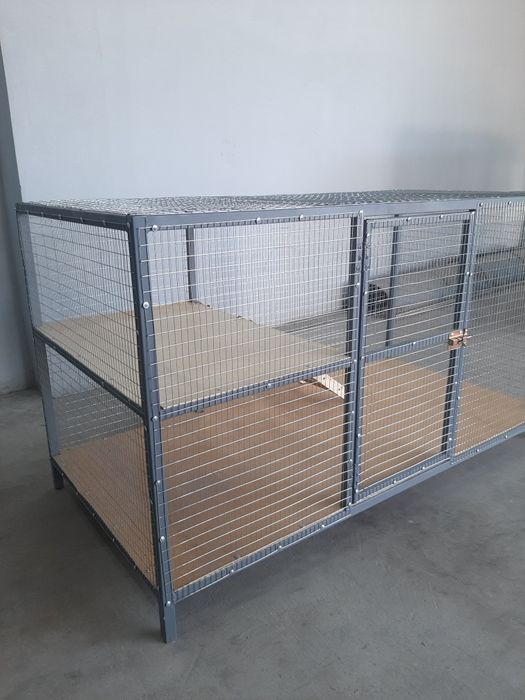 Mushuk qafas zamonaviy turda