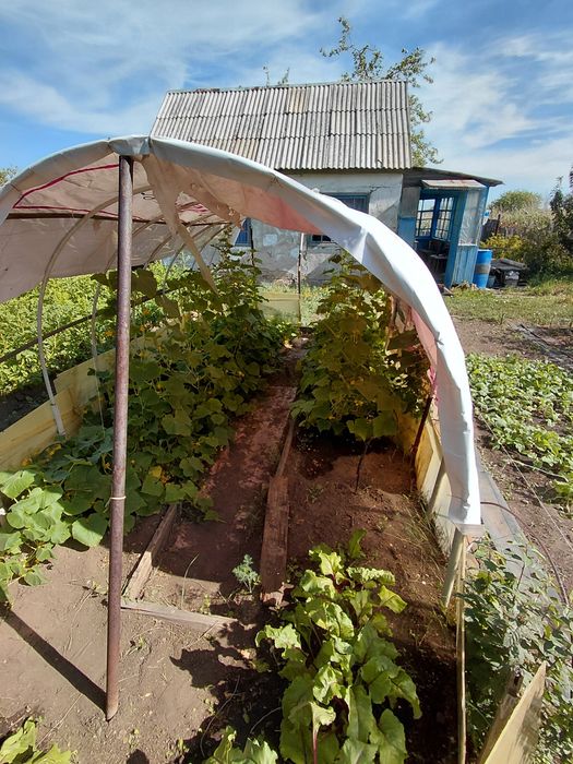 Продам дачу майкудук