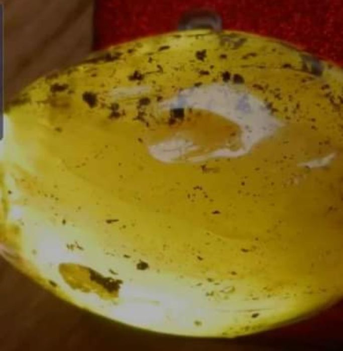 Старинно яйце от Балтийски кехлибар