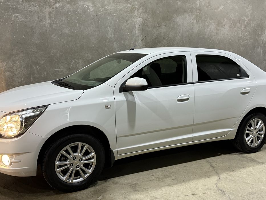 Arenda kobalt nasiya savdo.