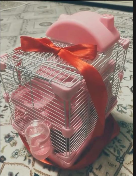 Продам хомяк  с домиком