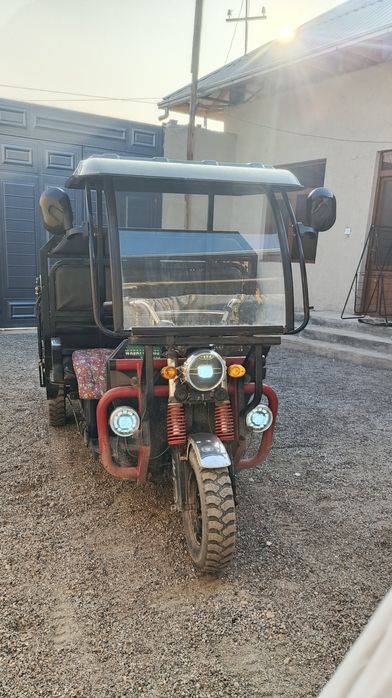 Плектром Муравей,  Elektro Muravey