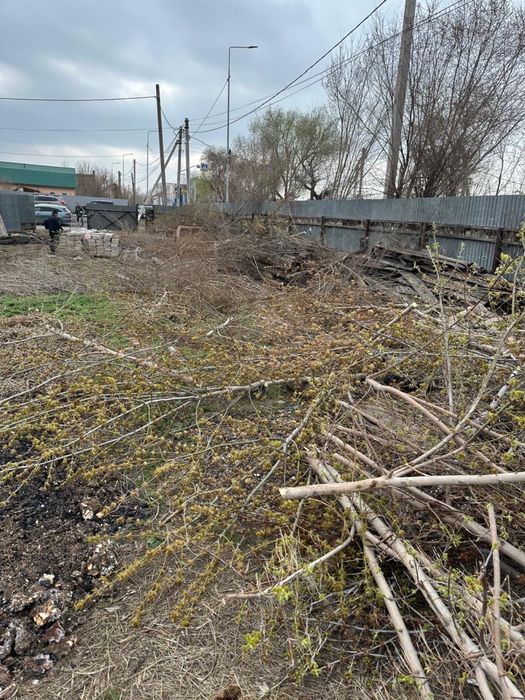 Отдам дрова бесплатно самовывоз