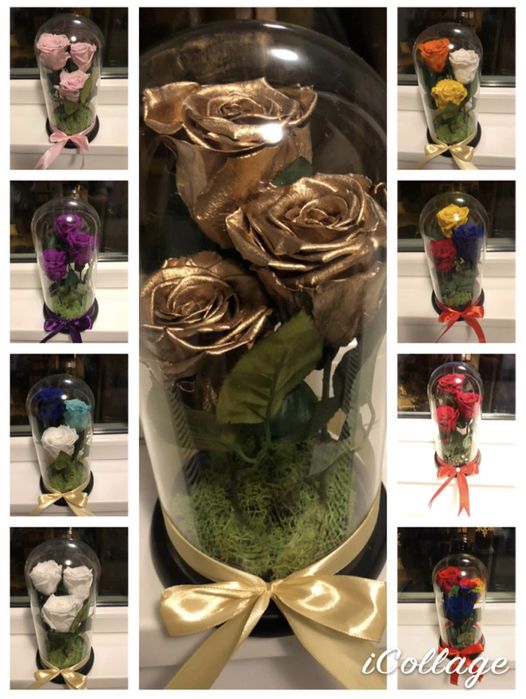 Cadou cupola cu 3 trandafiri criogenati diverse culori 250 lei