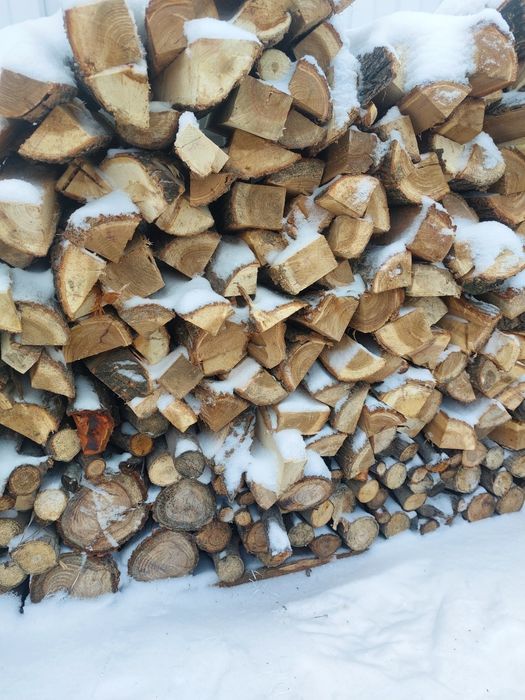 Продам дрова карагач тополь ясень берёза
