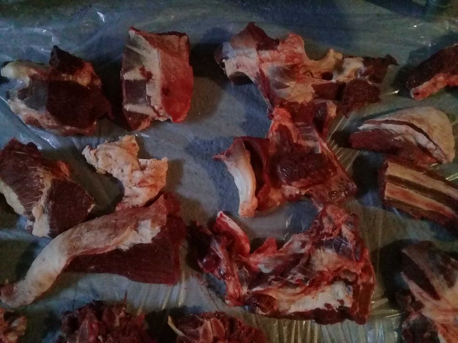 продам откормленый тай