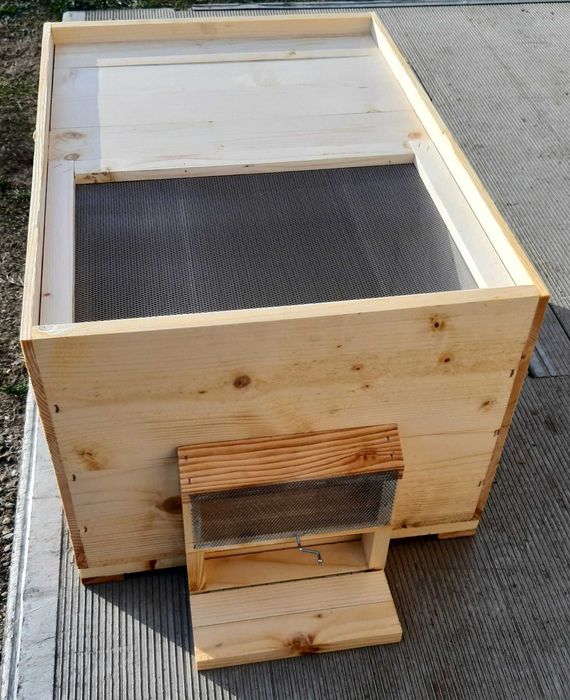 stup albine - orice model prețuri începând de la 155 lei/buc