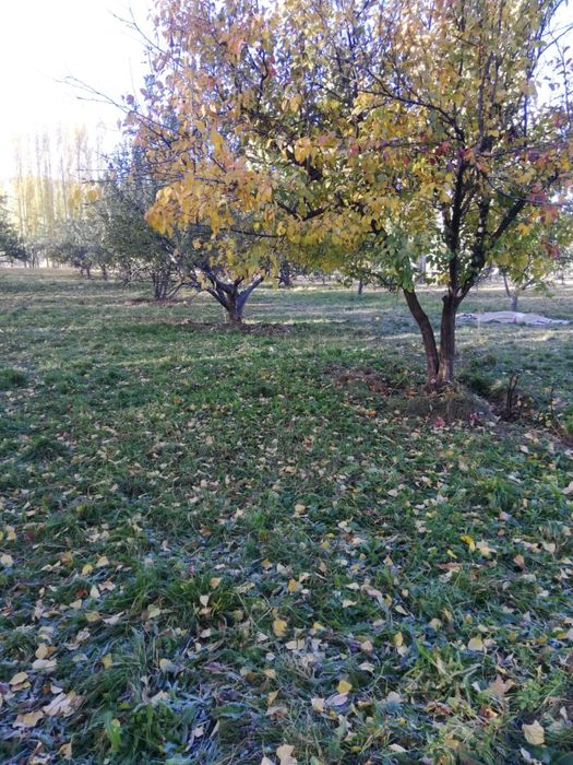 16 соттық жер сатылады