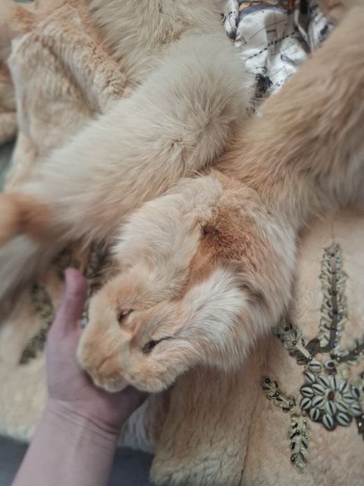 Шуба из натуральной Лисы