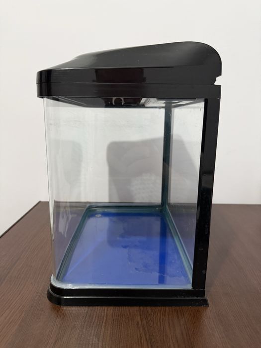 Acvariu pesti Chicos B 231