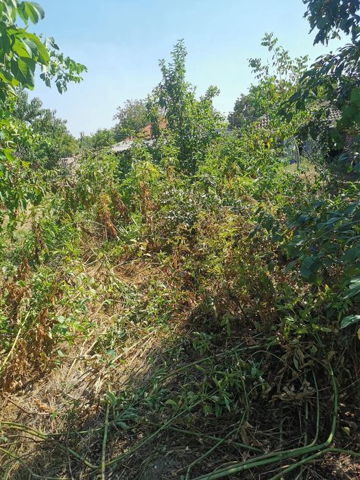 Подръжка, (Чистене) на Дворове