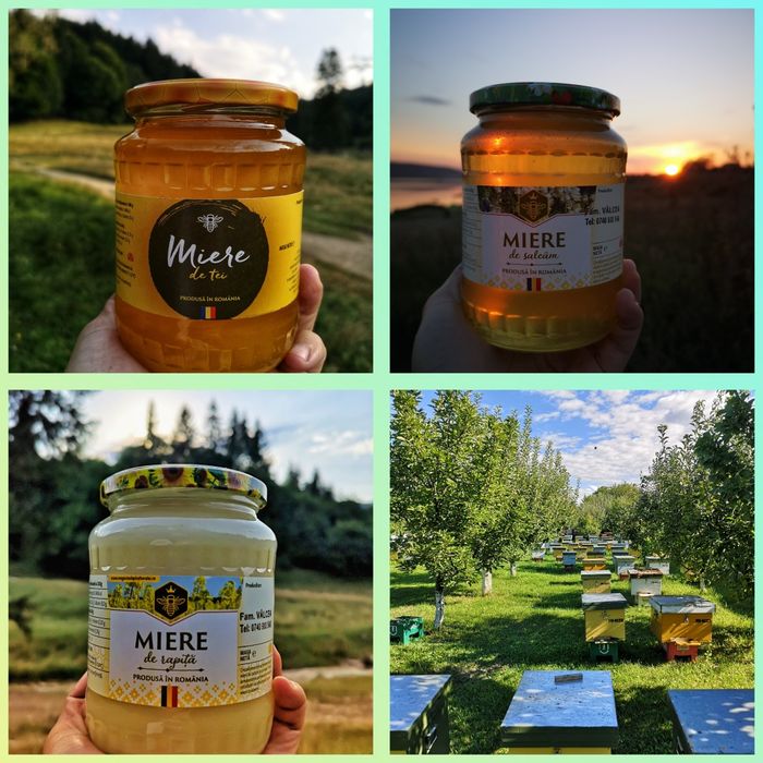 Miere de Albine de la Producător