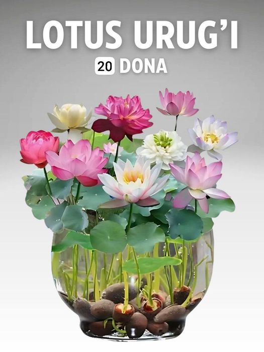 Uy Ofis va Magazinlarimiz uchun ajoyib yangiligimiz yetib keldi. -Suv