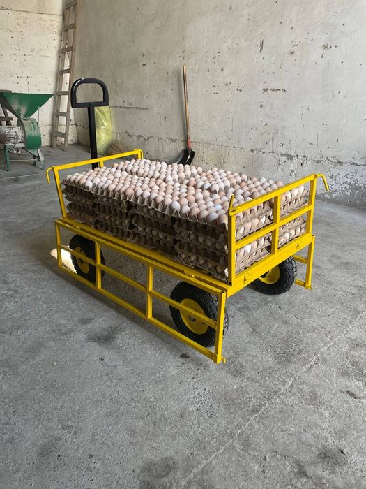 Tuxum fleyka tashish uchun arava