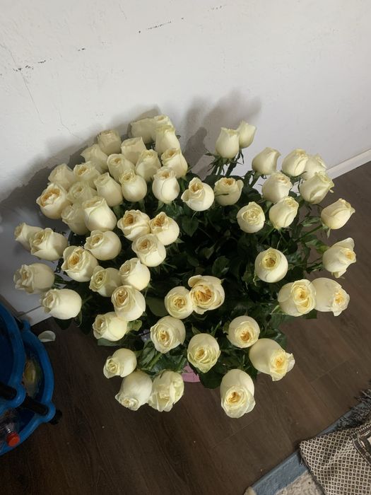 Гул сатылады шымкент