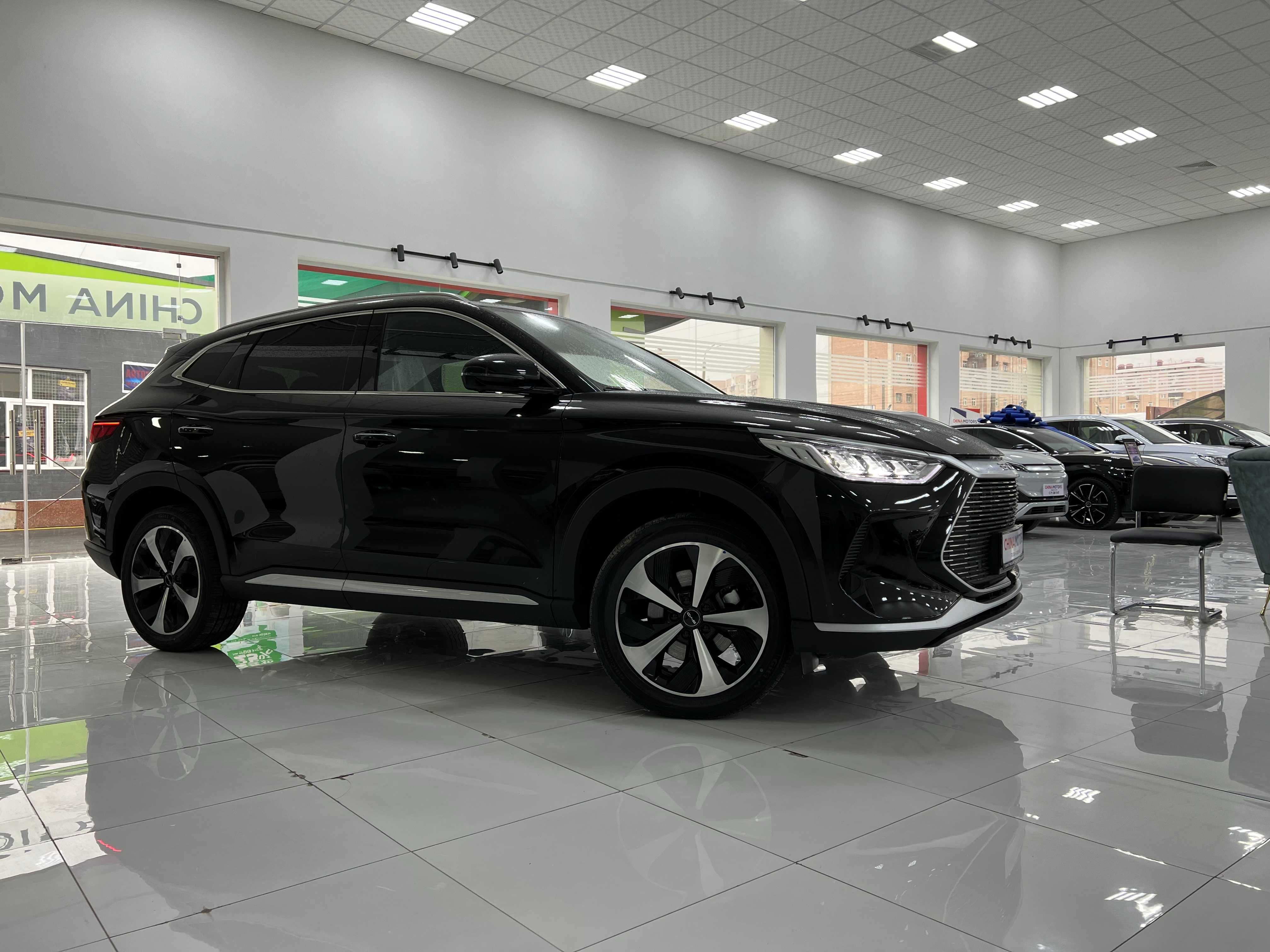 Byd song dm i 2024