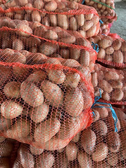 Cartofi pentru consum