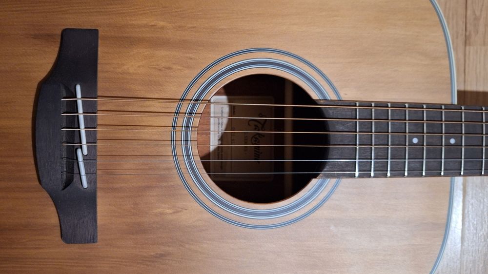 Chitară acustică - Takamine GN20-NS