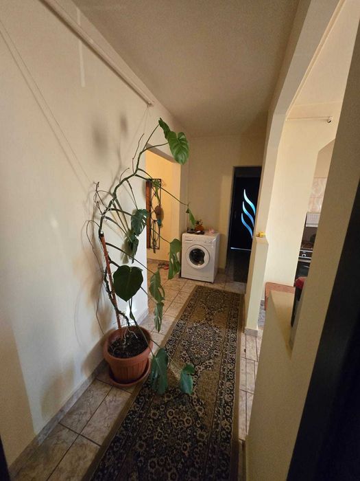 Apartament cu 3 camere