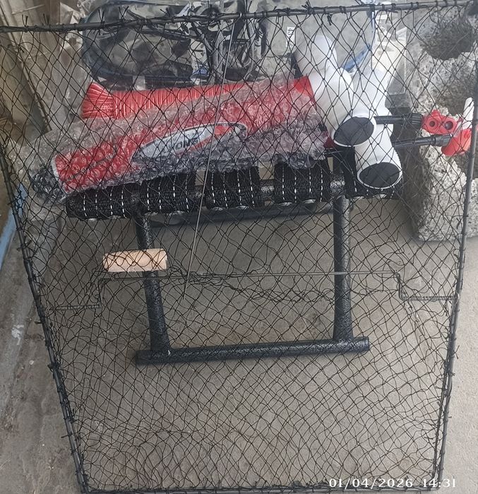 Bulbul  lavushka bor