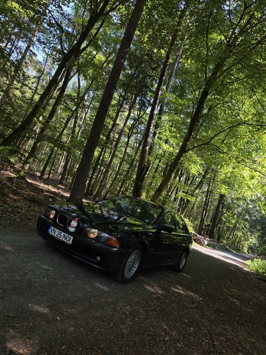 BMW E39 523i 1999 | Manual | Întreținut