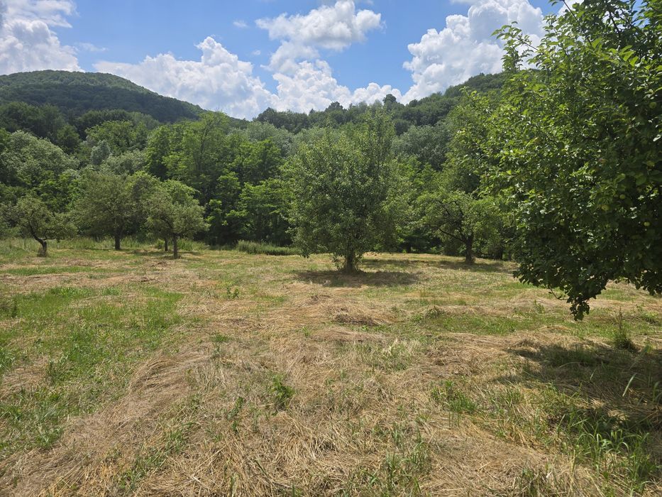 Teren  casă  si anexe
