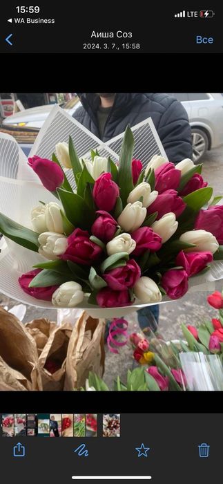 Тюльпаны голландские к празднику