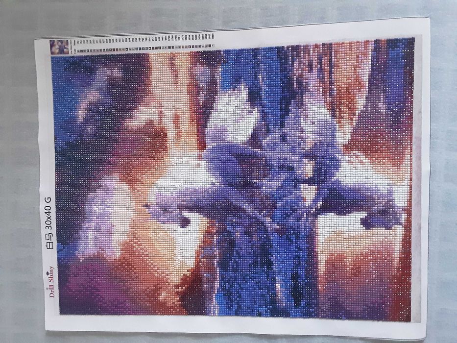 Диамантени гоблени в рамка