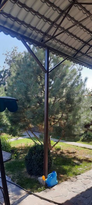 Продам дачу . Кайнар Булак .