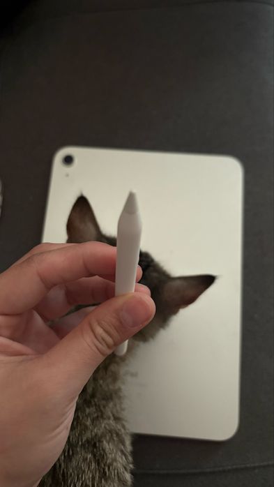 Ipad 10 поколения