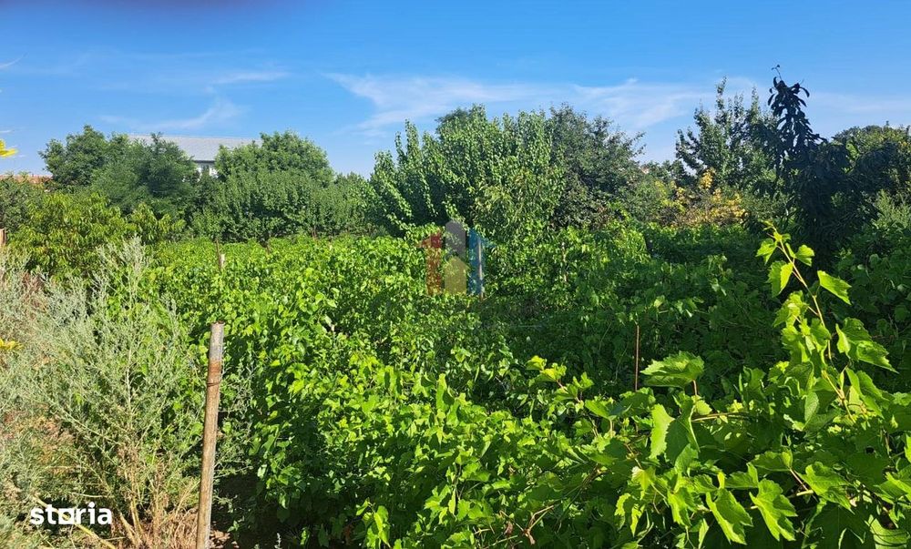 Casa 4 cam+ teren 1286 mp deschidere 18 m Chiscani zona Primariei