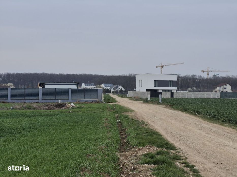 Teren Balotesti, 500 mp, 19500 euro,zona padure Edenland