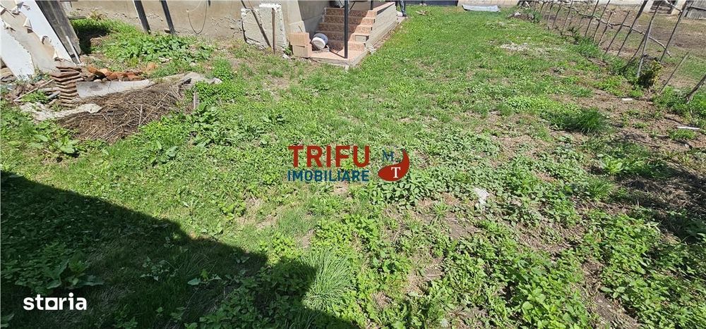 Casa de vanzare in comuna Cricau 1534mp teren