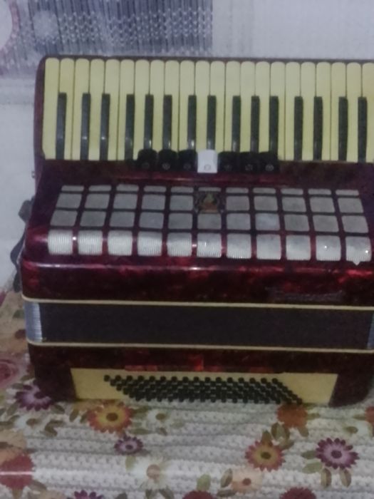 Acordeon parot 96basi