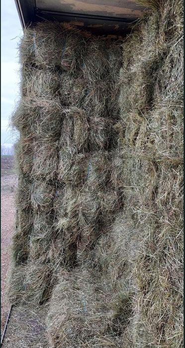 Vând baloti lucernă,  fân