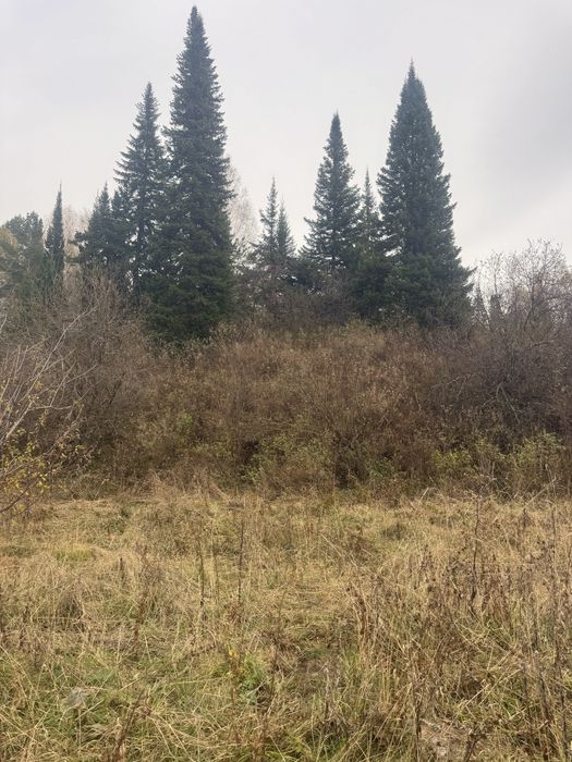 Продам отличный участок, в городе риддер.