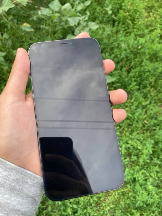 Iphone 12 pro max