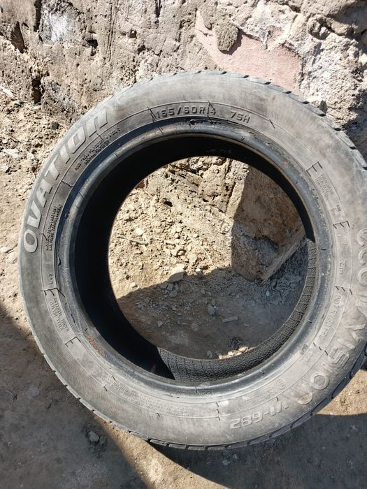 Шина. Шина . Шина