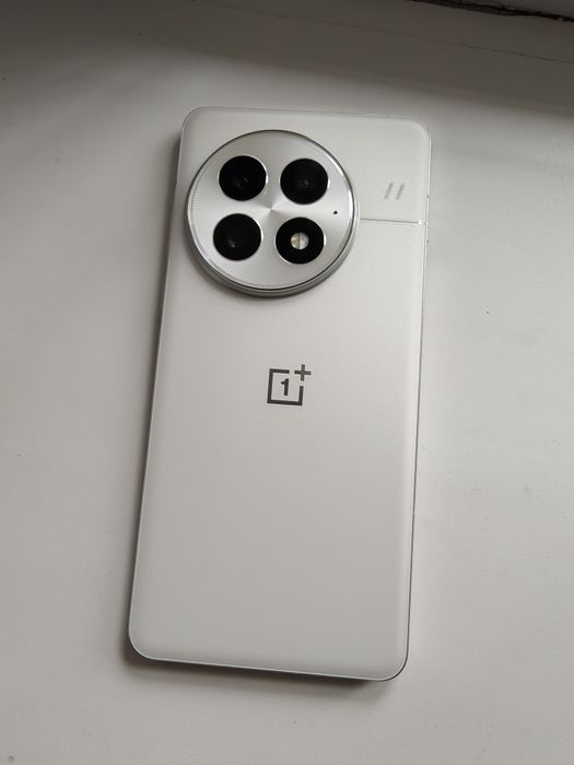 Oneplus 13 CN 12/256